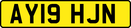 AY19HJN