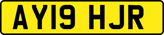 AY19HJR