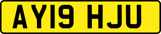 AY19HJU