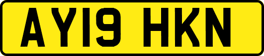 AY19HKN