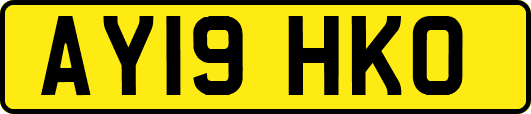 AY19HKO
