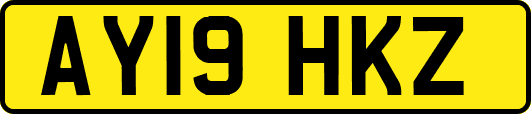 AY19HKZ