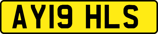 AY19HLS