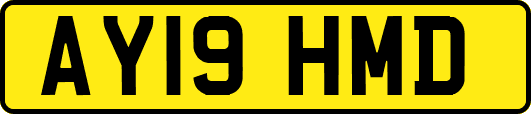 AY19HMD