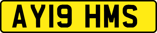 AY19HMS