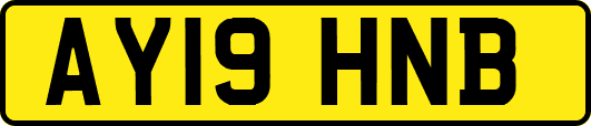 AY19HNB