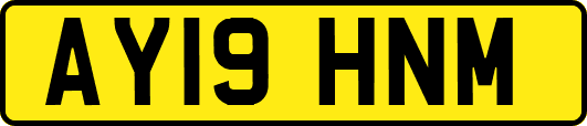 AY19HNM
