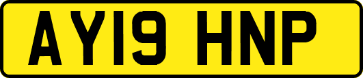 AY19HNP