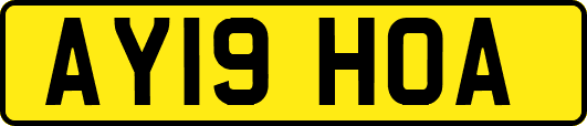 AY19HOA