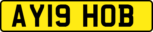 AY19HOB