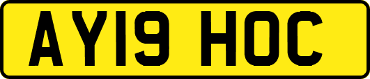 AY19HOC