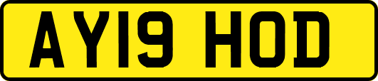AY19HOD