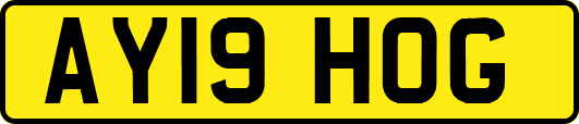 AY19HOG