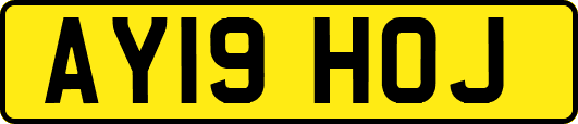 AY19HOJ