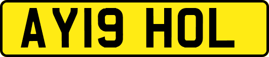 AY19HOL