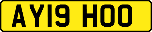 AY19HOO