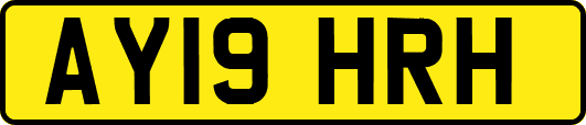 AY19HRH
