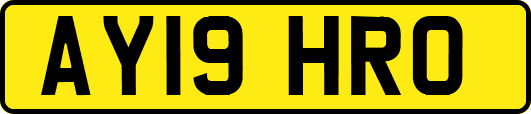 AY19HRO