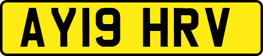 AY19HRV