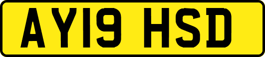 AY19HSD