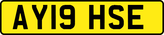 AY19HSE