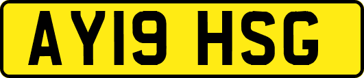 AY19HSG