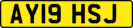 AY19HSJ
