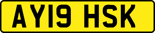 AY19HSK
