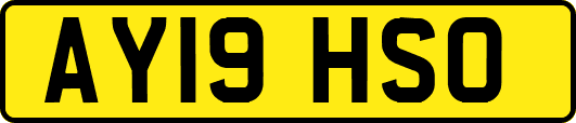 AY19HSO