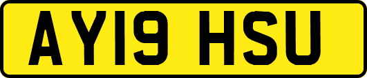 AY19HSU