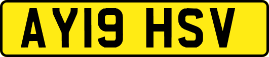 AY19HSV