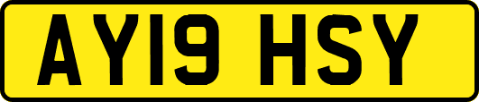 AY19HSY