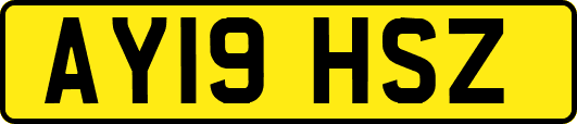AY19HSZ