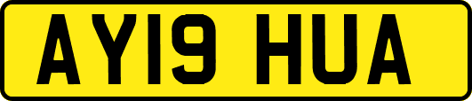 AY19HUA