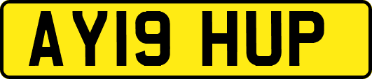 AY19HUP