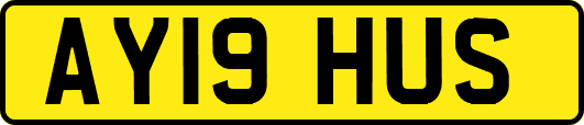 AY19HUS