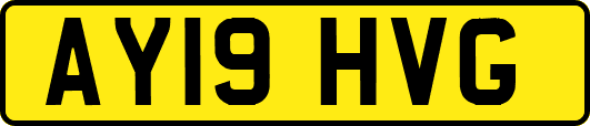 AY19HVG