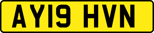 AY19HVN