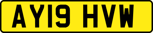 AY19HVW