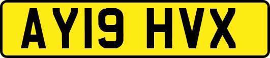AY19HVX