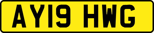 AY19HWG