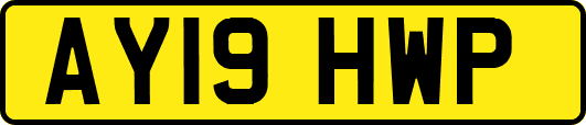 AY19HWP