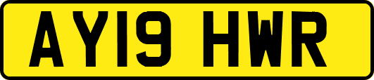 AY19HWR