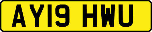 AY19HWU