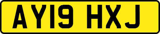 AY19HXJ