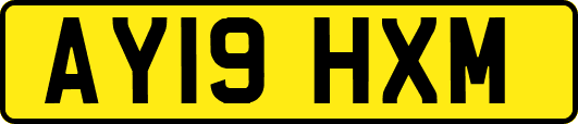 AY19HXM