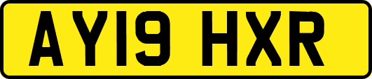 AY19HXR
