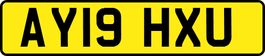 AY19HXU