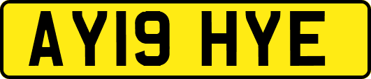 AY19HYE