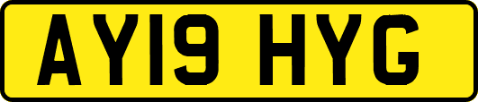 AY19HYG